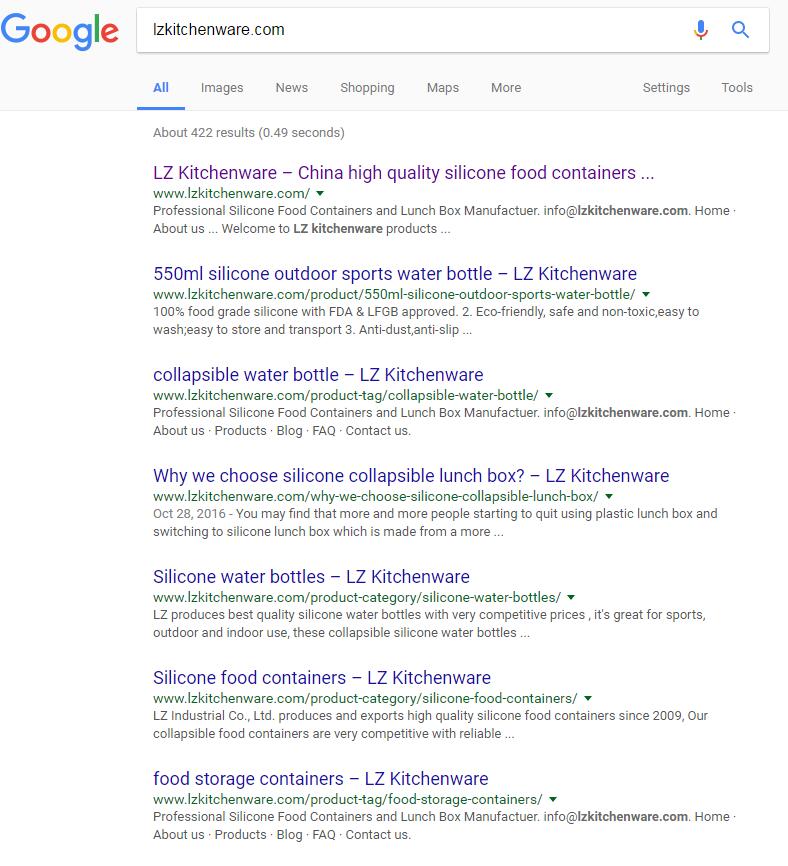 google1.jpg