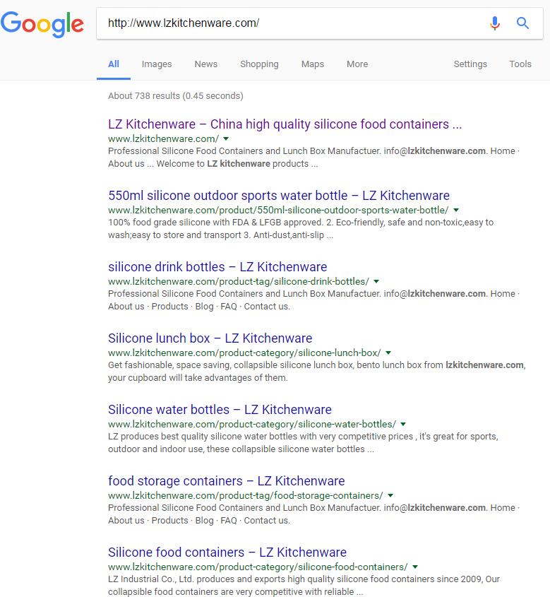 google2.jpg