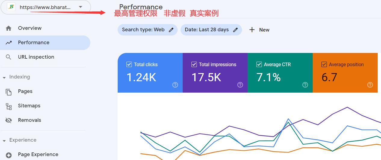 一个期权交易应用程序下载Google SEO案例