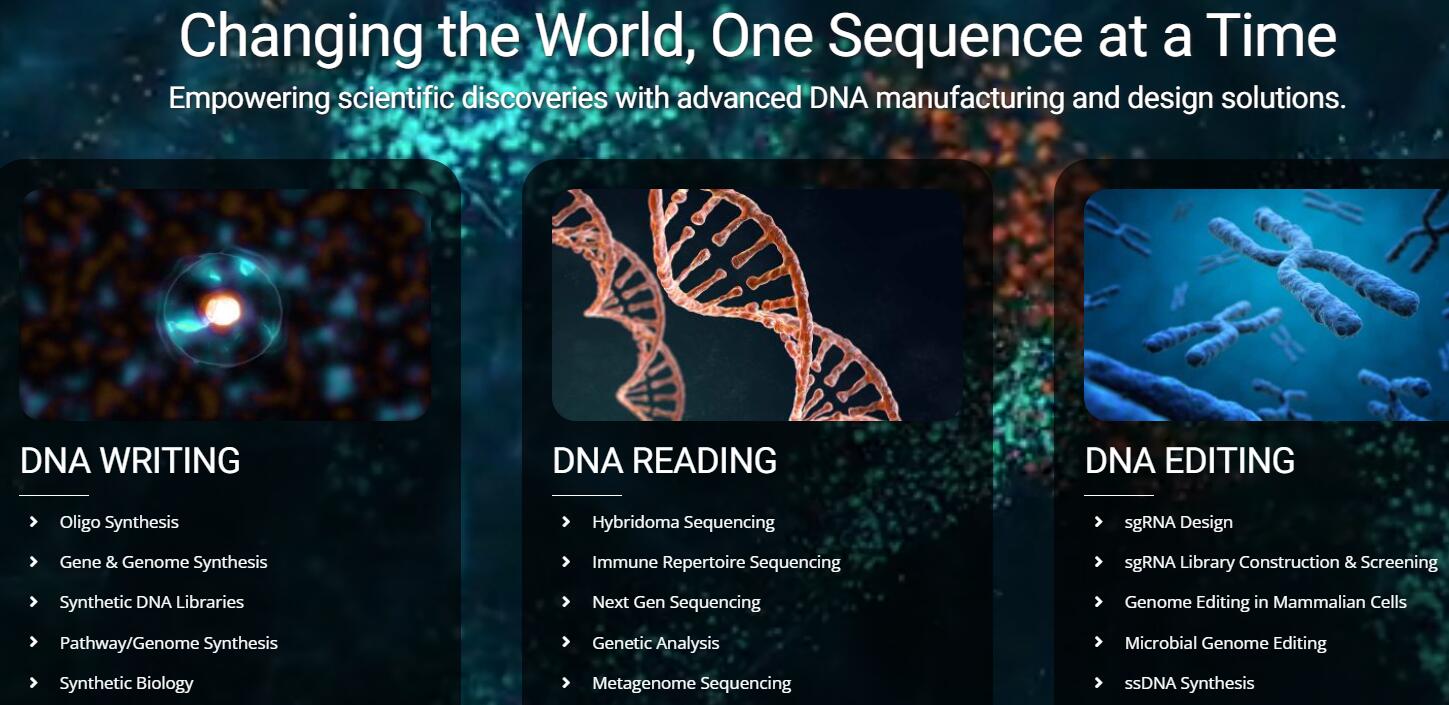 一个合成生物学网站谷歌SEO优化案例