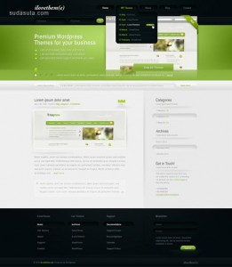 iLoveTheme – WordPress Theme